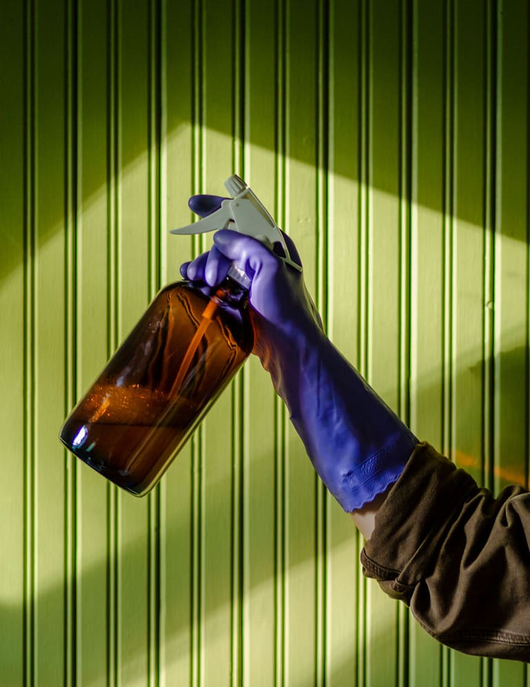 A purple-gloved hand holding an amber glass spray bottle against green beadboard, lit by raking sunlight